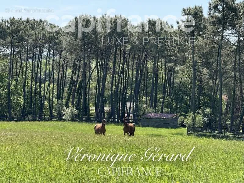 Aed - Equestrian Property with Longère in Salleboeuf