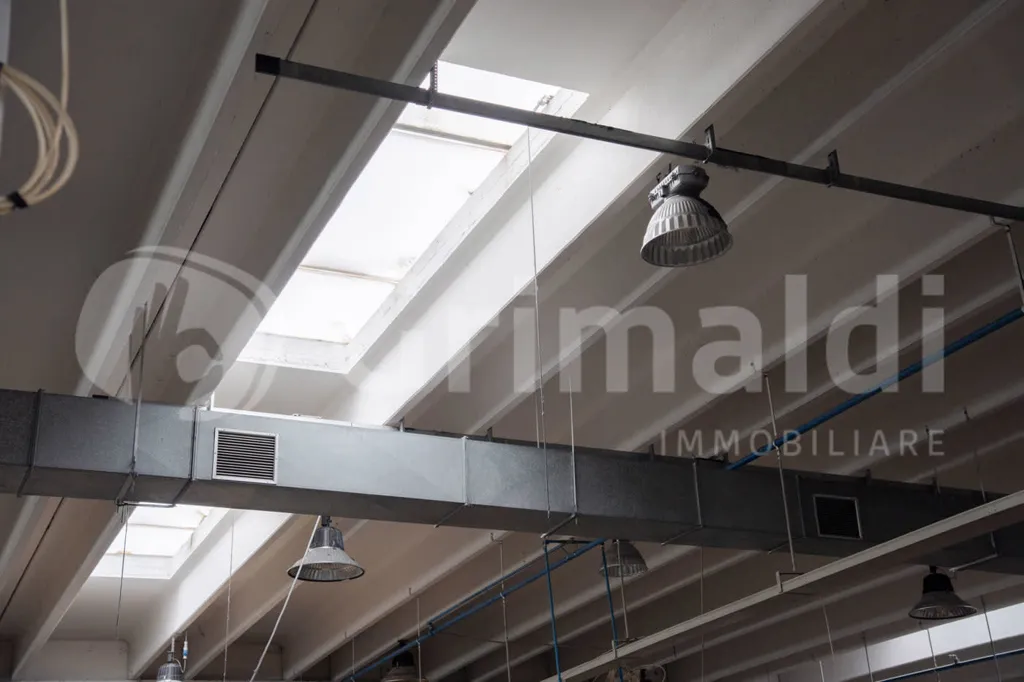Toad - Warehouse with Office Space in Barletta