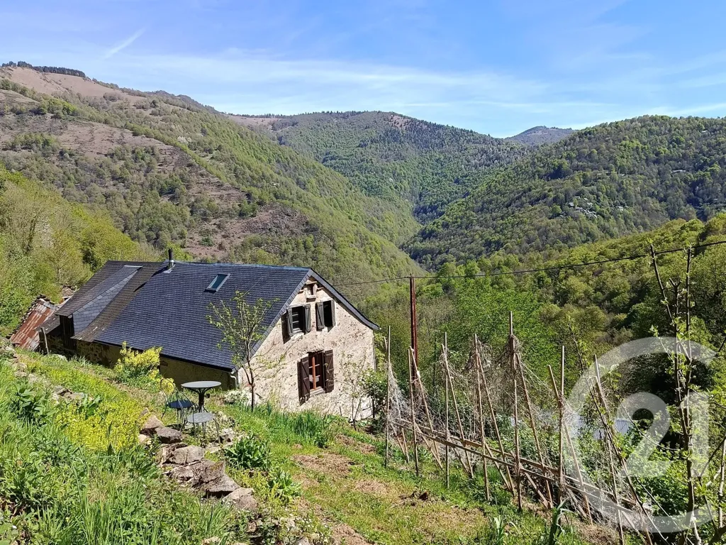 Extérieur - Maison en Pierre avec Terrain à Aleu
