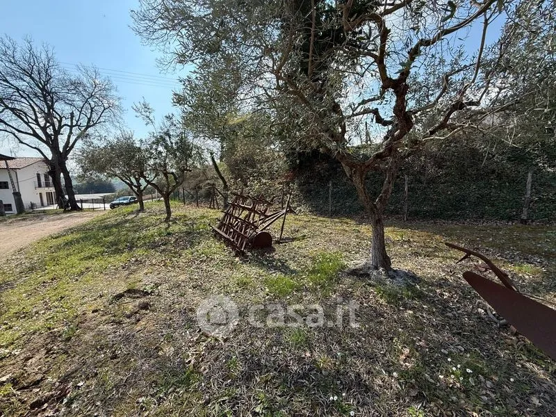 Garden - Rustic Farmhouse with Garden in Loro Piceno
