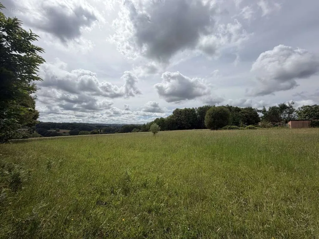 Jardin - Terrain Constructible à Linards, Proche de Châteauneuf-la-Forêt