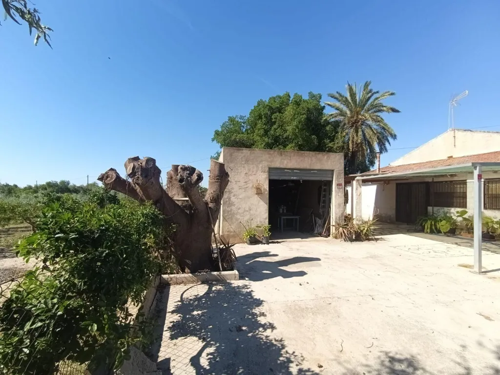 Giardino - Chalet with Seafront Potential in La Marina, Elche