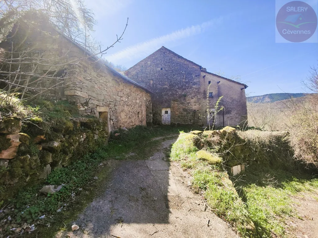 Extérieur - Ferme à Rénover avec Terrain à Ispagnac