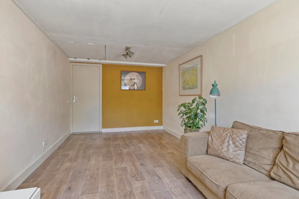 living_room