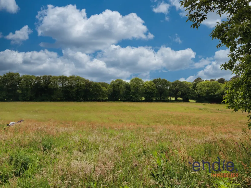 Aed - Detached House with Barn and Meadow in Morbihan