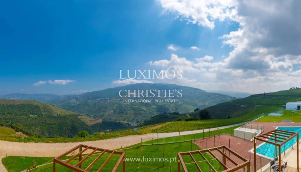 Bassein - 5-Star Quinta with Vineyard Views in Douro Valley