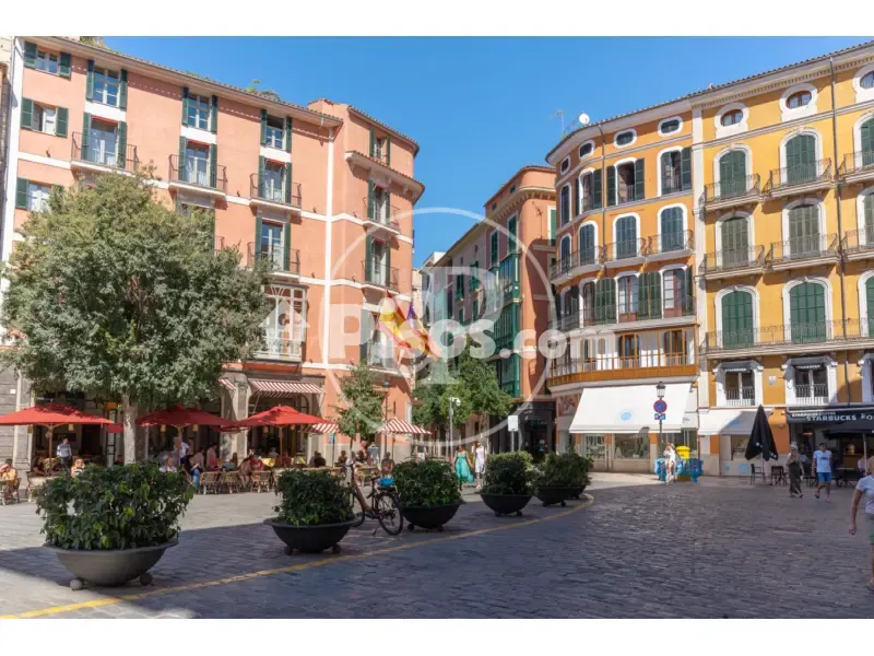 New Flat with Terrace in Palma de Mallorca