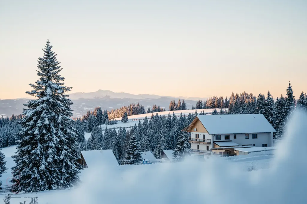 Modern Holiday Complex with Ski-In/Ski-Out in Posch Alpe