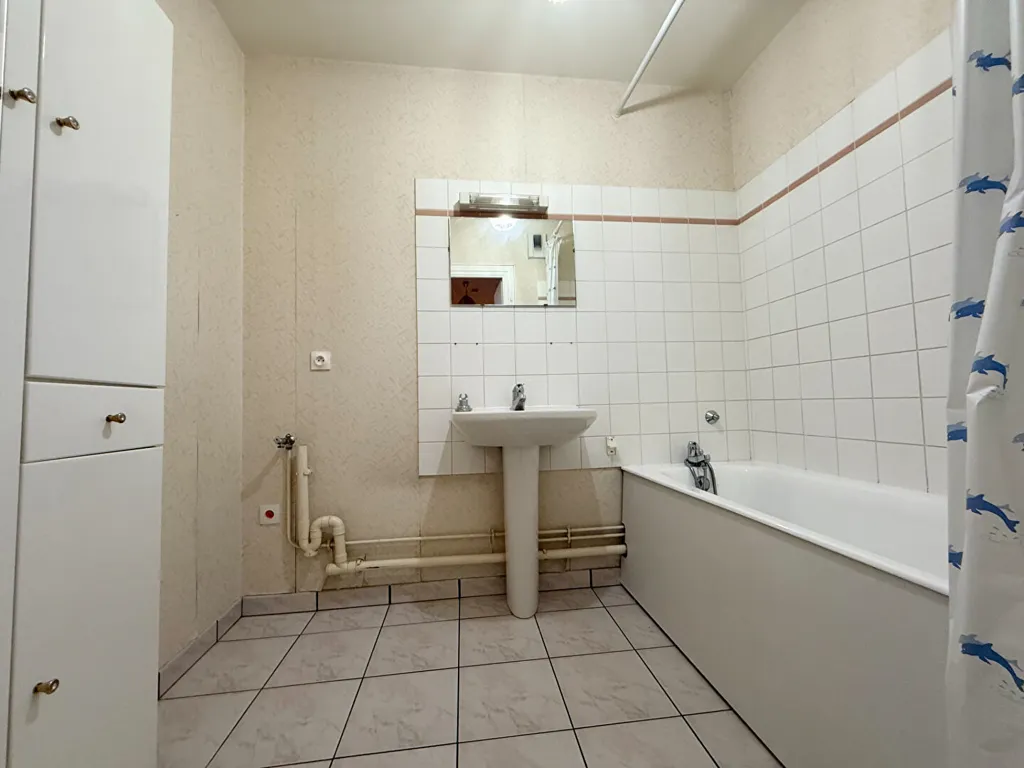 Vannitoad - Bright 3-Bed Flat with Balcony in Neuvy Centre