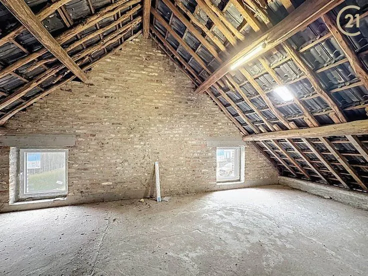 Toad - Renovatable House with Garden in Dave
