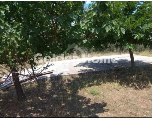 Giardino - Unique Estate with Panoramic View in Kainoi, Euboea