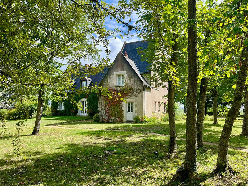 Aed - House with Loire View in Rochecorbon