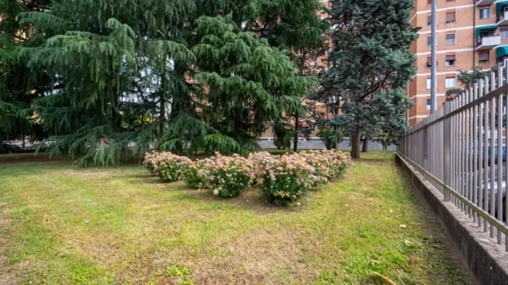 Giardino - Bright Trilocale with Balcony in Gallaratese, Milan