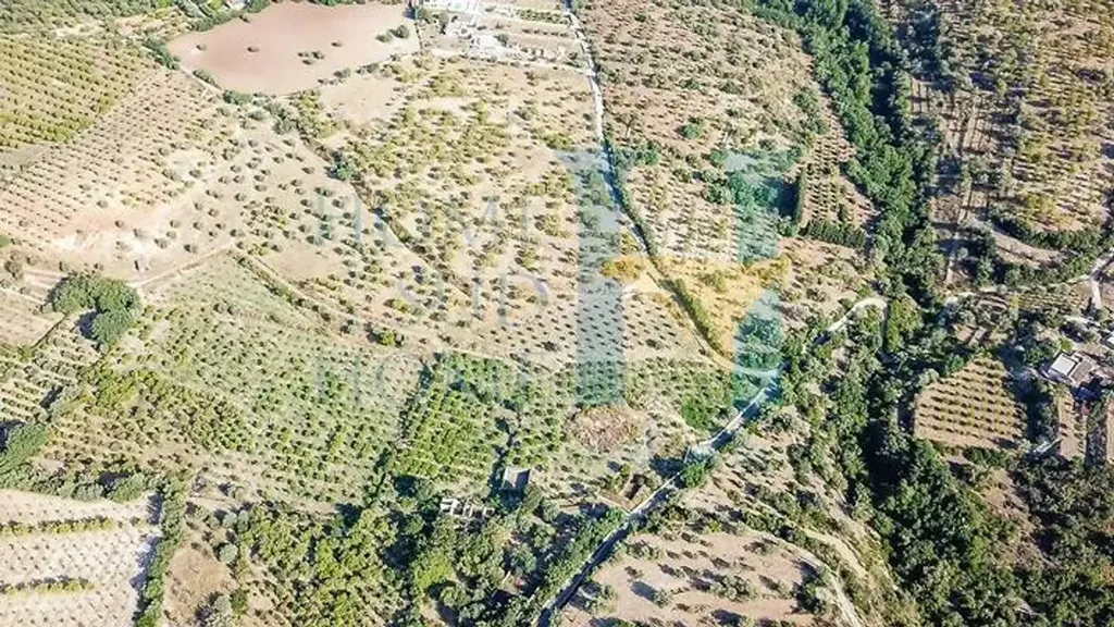 Vue aérienne - Historic Property with Olive Grove in Noto