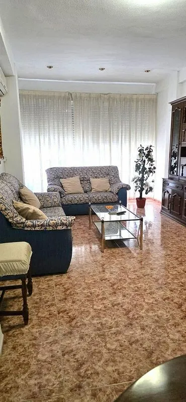 Soggiorno - Apartment with Terrace in Compositor Albéniz