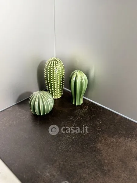 Vannitoad - Fully Furnished Studio in Zollino