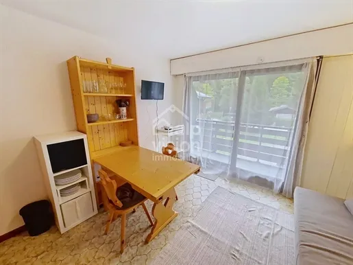 Studio with Mountain Views in Chatel Centre