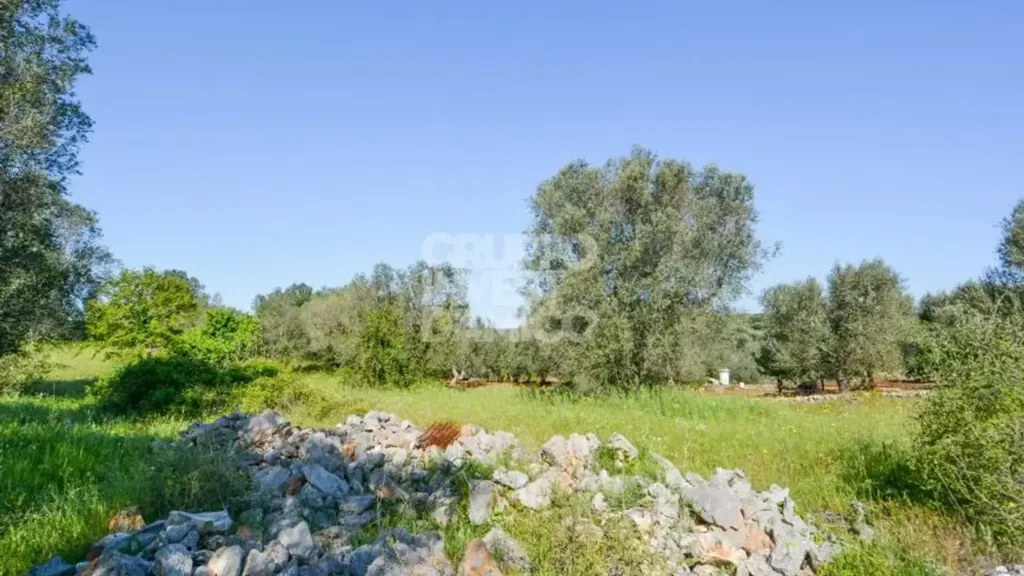Aed - Traditional Trullo with Land in Ostuni