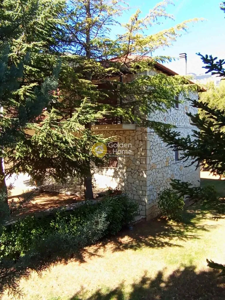 Exterior - Villa with Mountain View in Amfissa