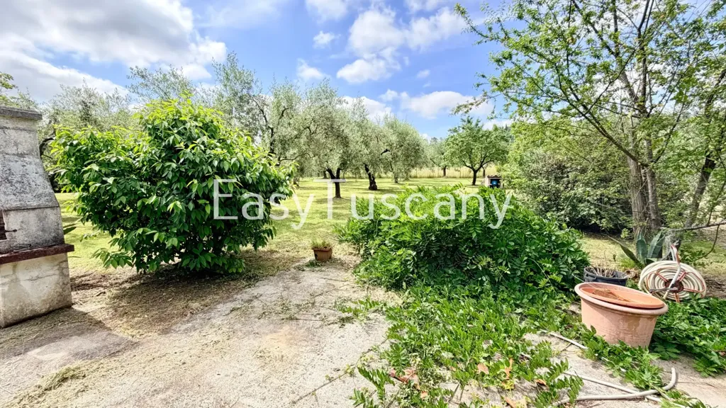 Jardin - Villa with Olive Grove in Montecarlo