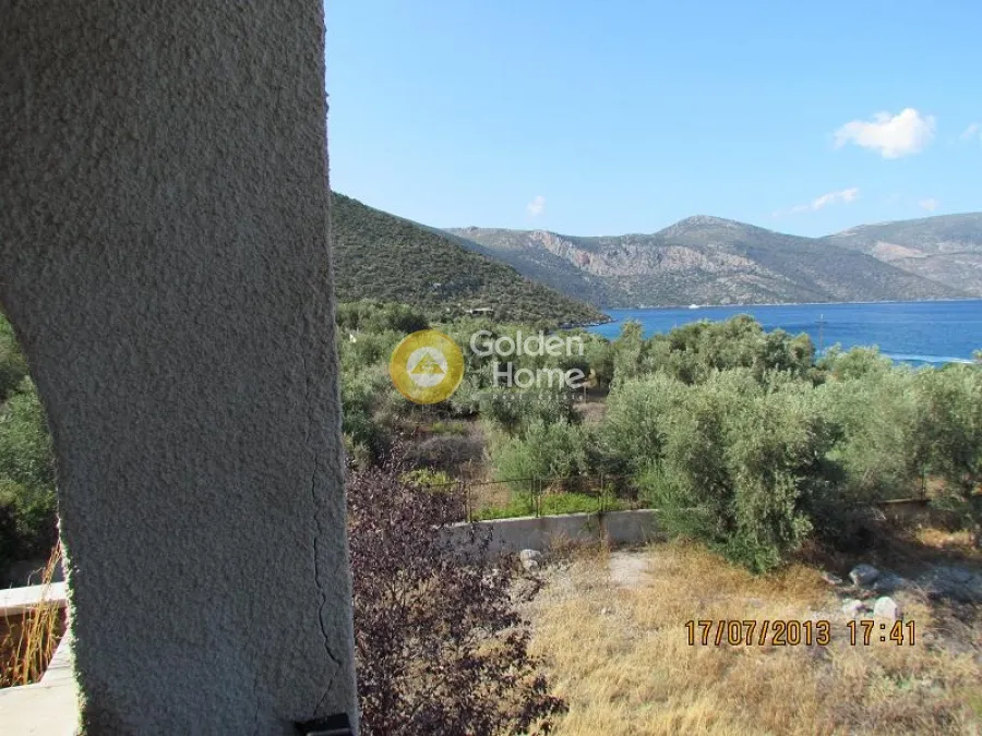 Terrass - Plot with Olive Trees in Skroponéri, Boeotia
