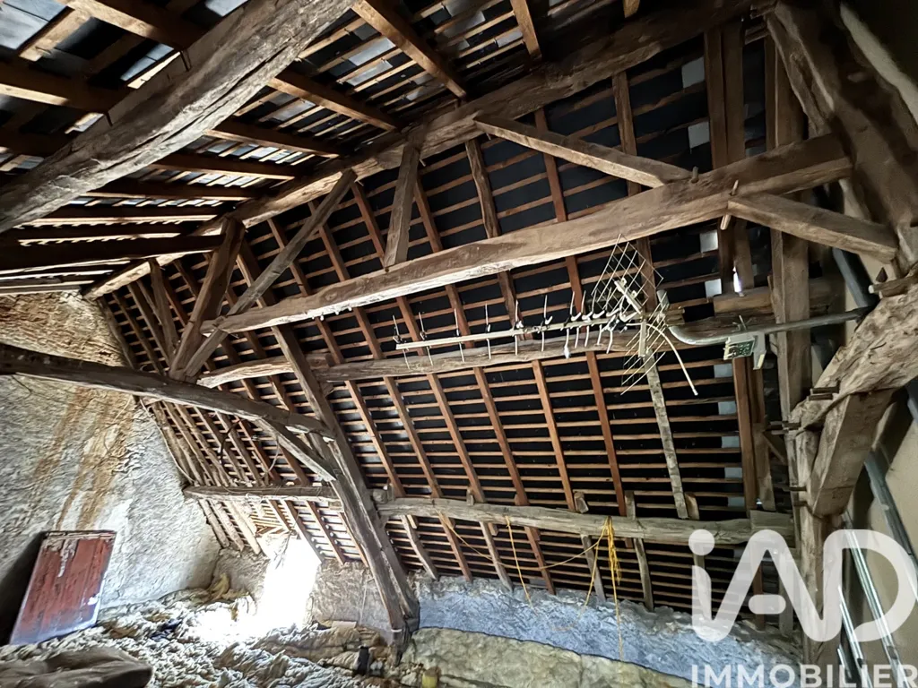 Toad - Two-Bedroom House with Garage in Thenay