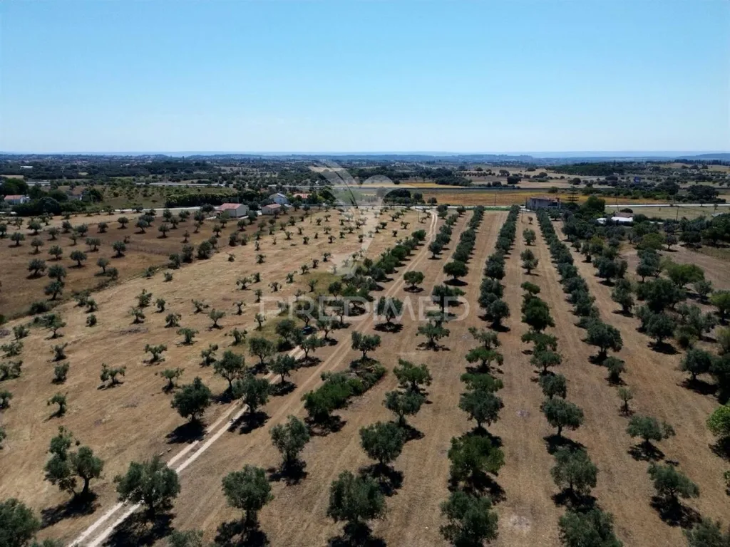 Vue aérienne - Rural Quinta with Olive Grove in Vaqueiros