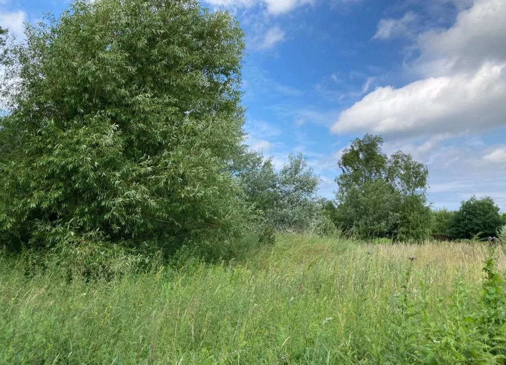 Aed - Holiday Plot with 5G Coverage in Store Fuglede