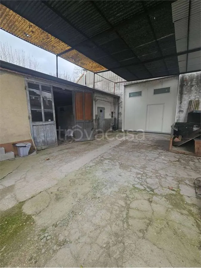 Jardin - Villa with Workshop in Savio, Ravenna