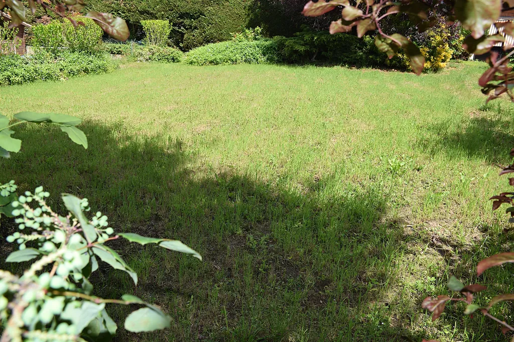Jardin - Terrain Constructible avec Piscine à Chambœuf