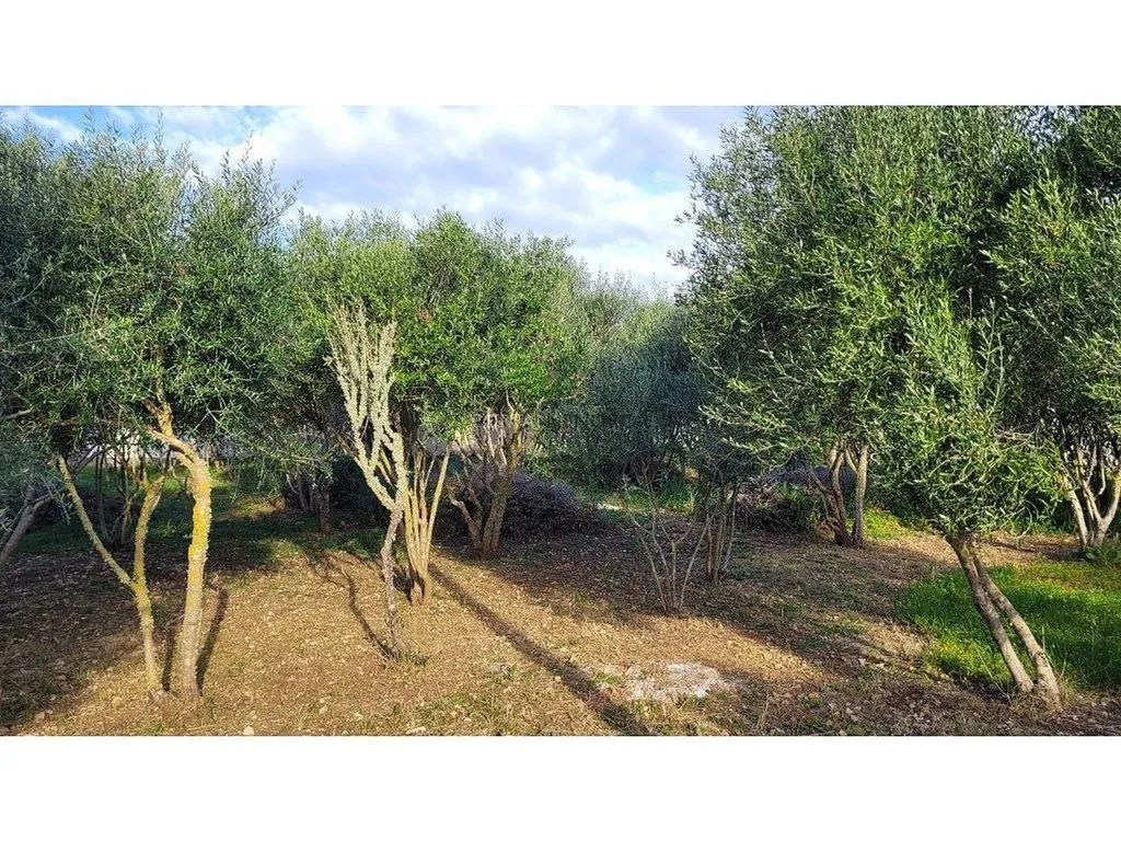 Aed - Traditional Chalet with Pool in Torret