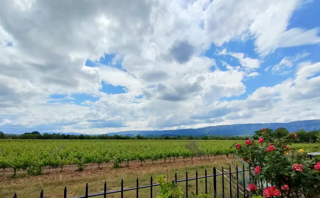 Aed - Villa with Vineyard View in Cabrières-d'Avignon