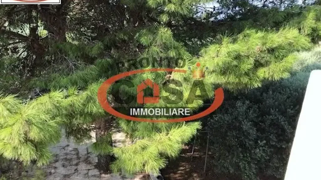 Jardin - Restored Villa with Olive Grove in Marsala