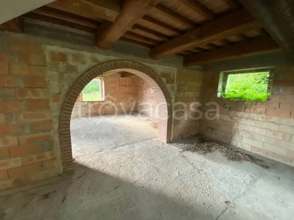 cellar