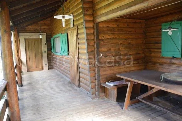 terrace_patio