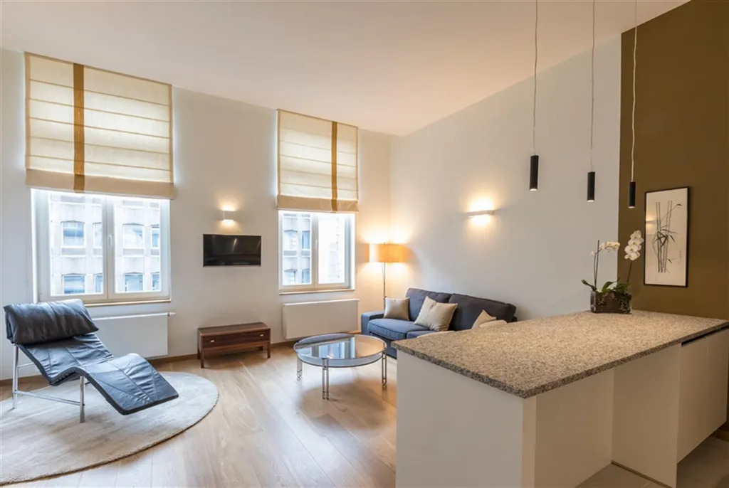 Séjour - Appartement Meublé de Standing près de la Place Stéphanie