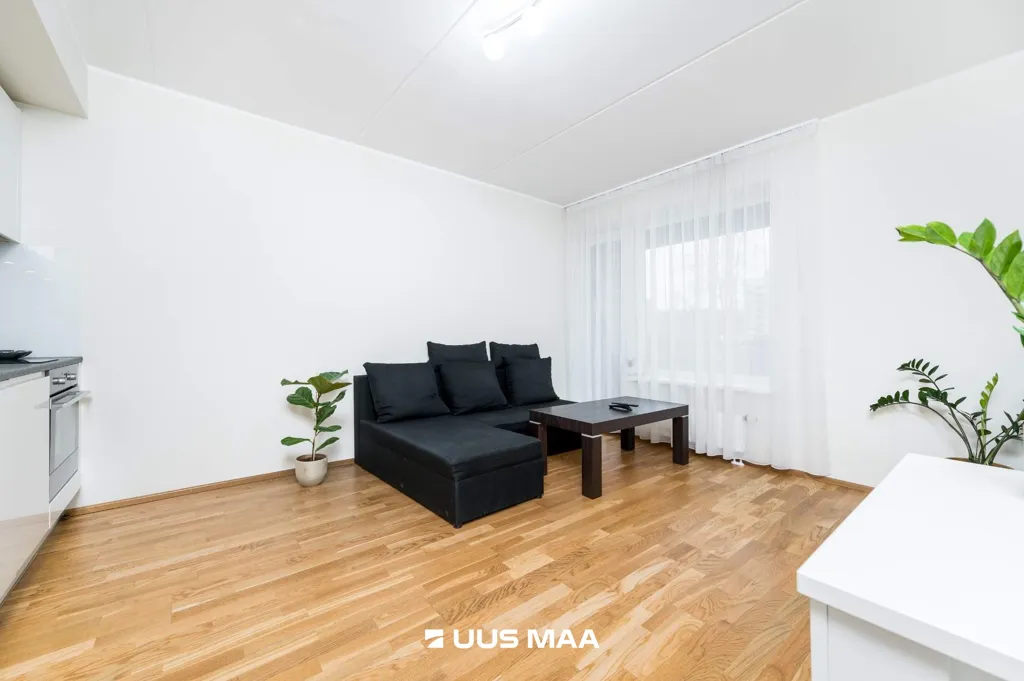 living_room