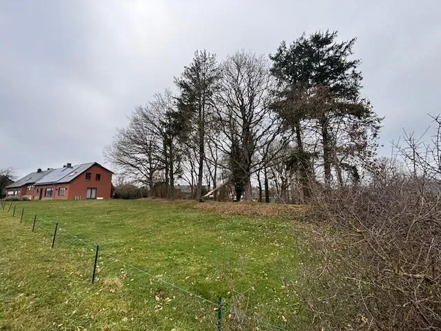 Jardin - Maison 3 Façades avec Jardin à Pondrome