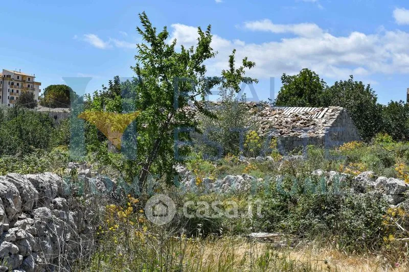 Garden - Rustic Cottage with Olive Grove in Modica