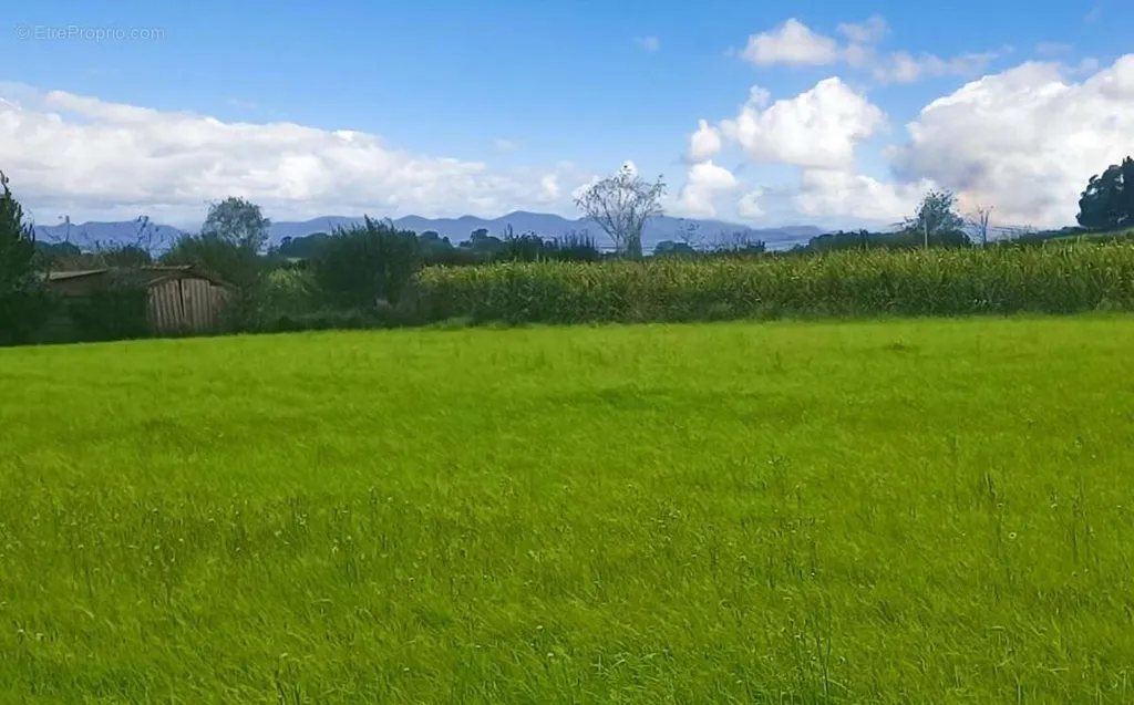 Jardin - Terrain Constructible avec Vue Campagne à Labastide-Villefranche