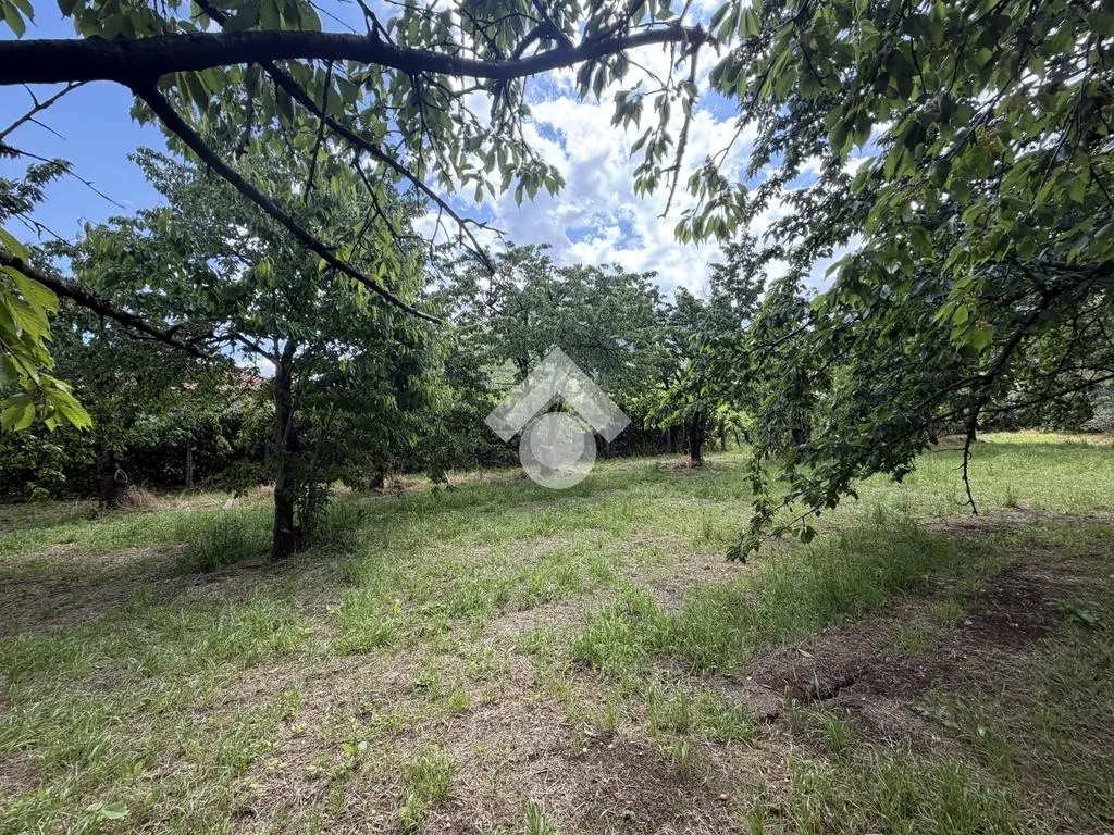 Jardin - Agricultural Land with Cherry Trees in Cervinara