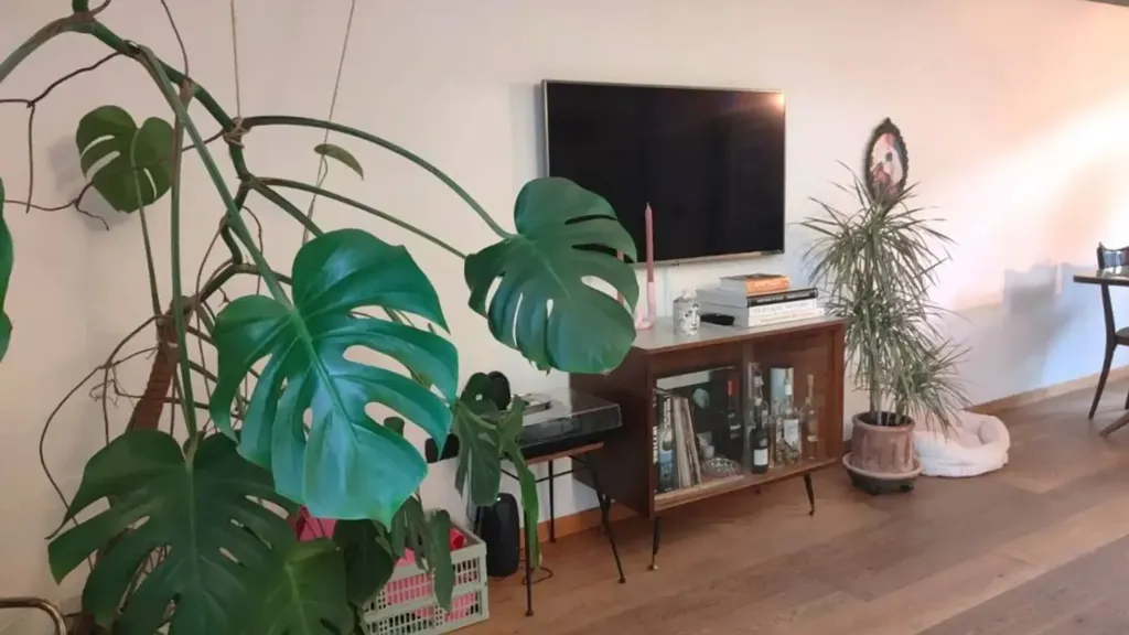 Elutuba - Modern Loft with Garden in Naviglio, Milan