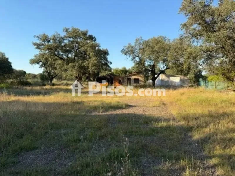 Jardin - Chalet with Land in Pedanías Norte
