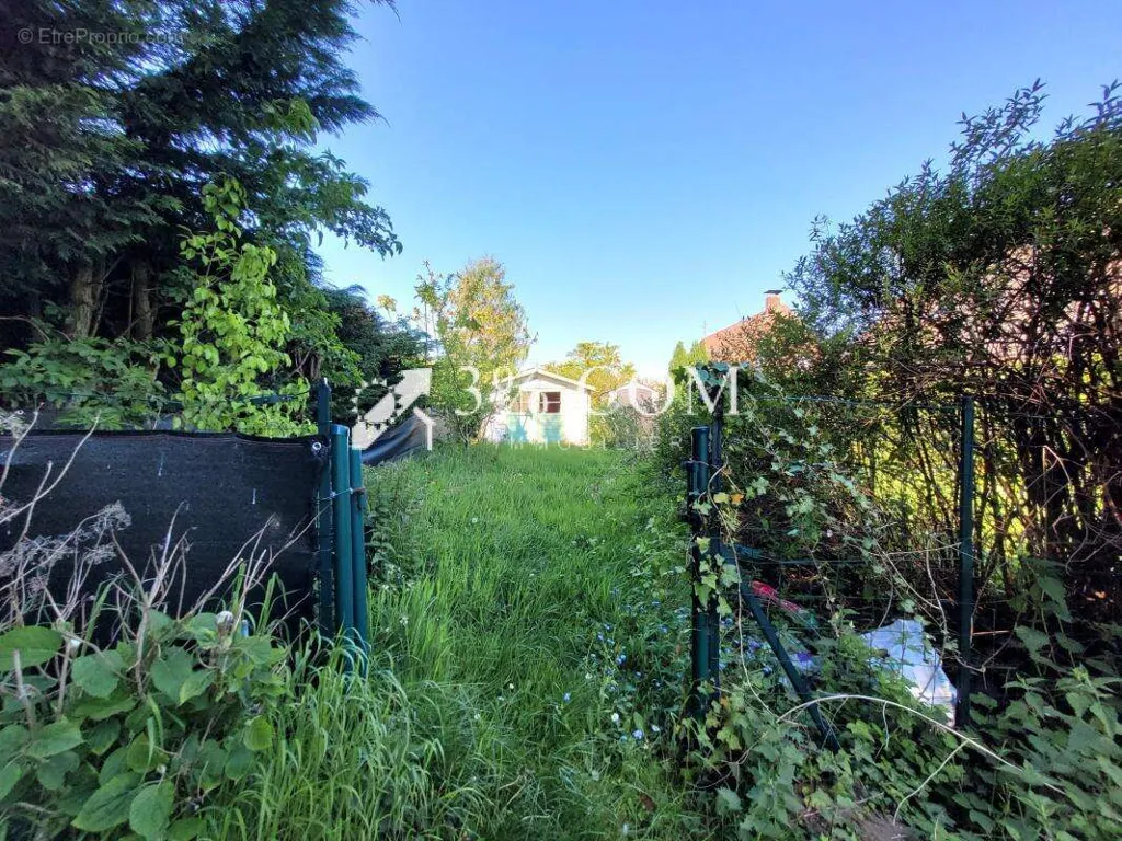 garden