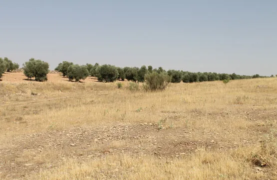 Aed - Land Parcel in Campo de Criptana, Ciudad Real