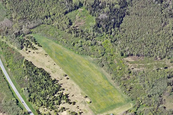 Aerial - Forest Land with Bonitet 4 in Järva County
