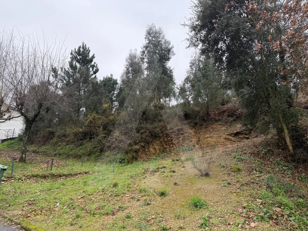 Jardin - Plot with Garden View in Nogueira do Cravo