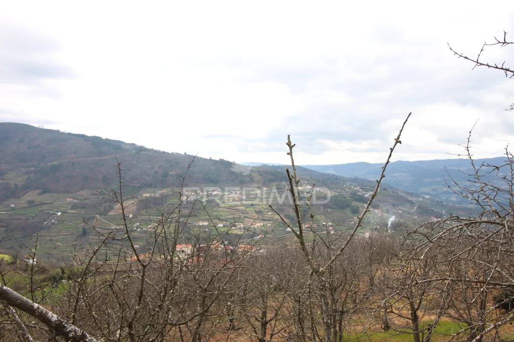 Jardin - Douro Vineyard with Water Source in Resende