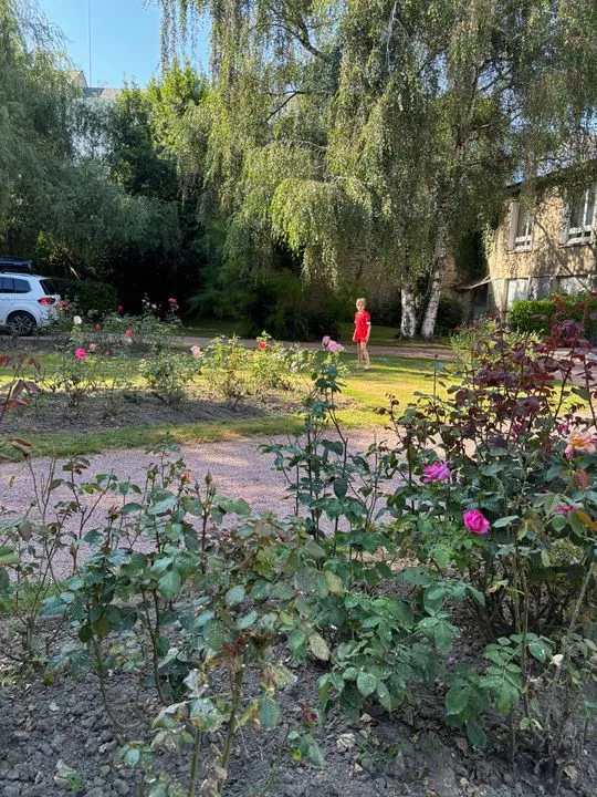Jardin - Studio Meublé pour Étudiants à Limoges