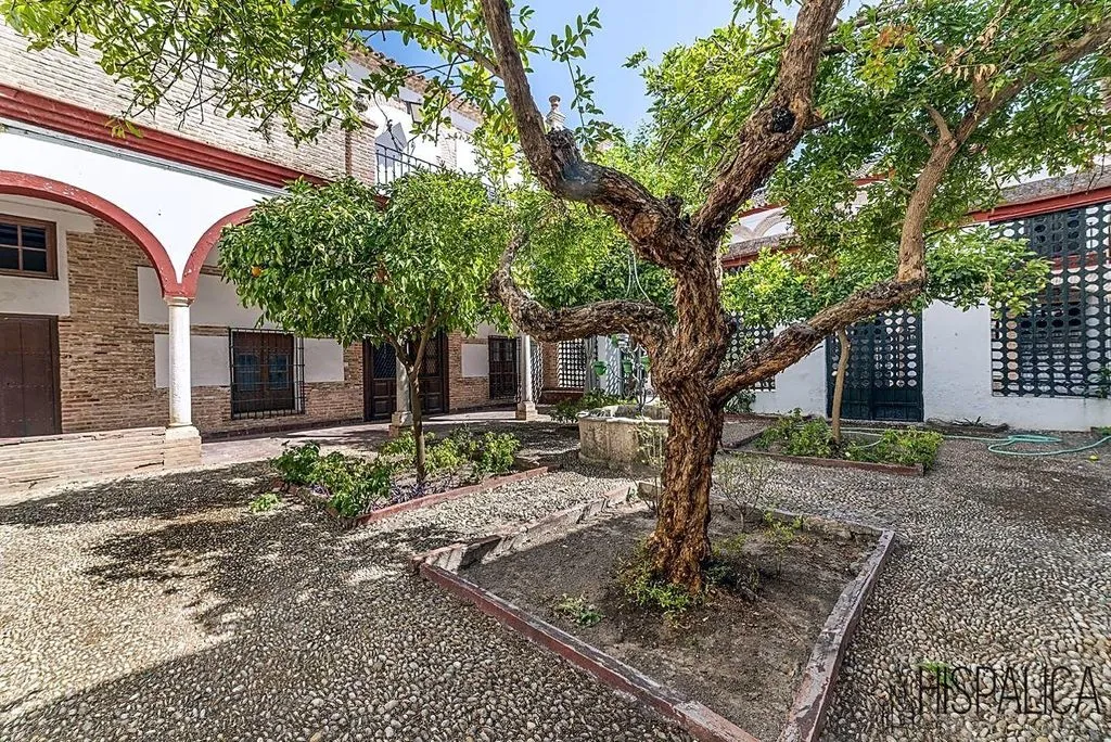 Jardin - Casa Palacio with Pool in Écija